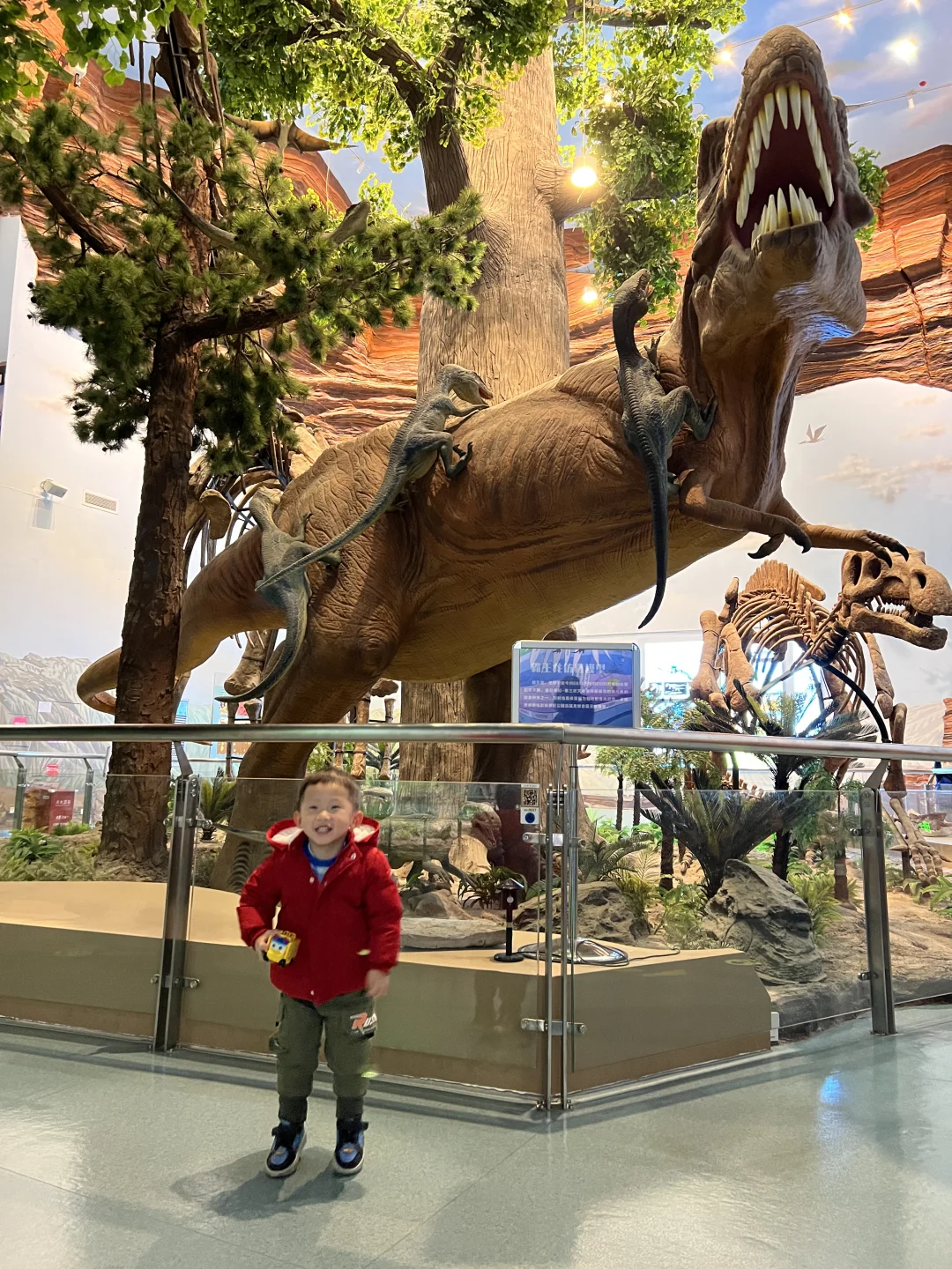 吐🩸整理！南宁柳州5天4晚超全亲子游攻略