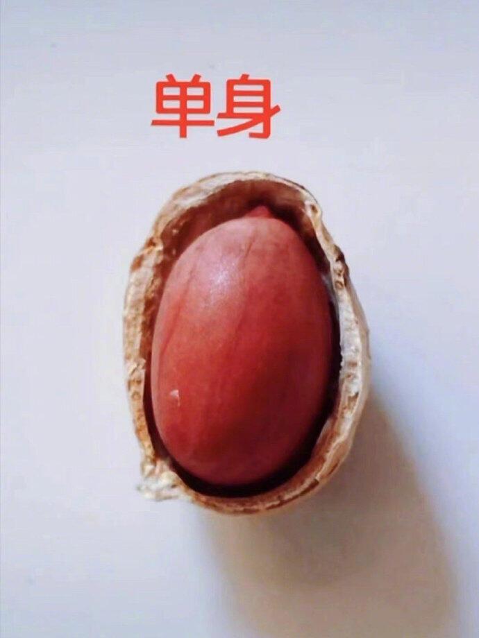 这一生，简直太形象了 ​！
人生三万天，且行且珍惜
 
时光匆匆流转，生命这场旅