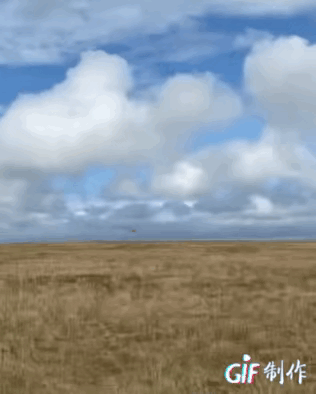 得什么样的速度，才能够产生这样的画面？