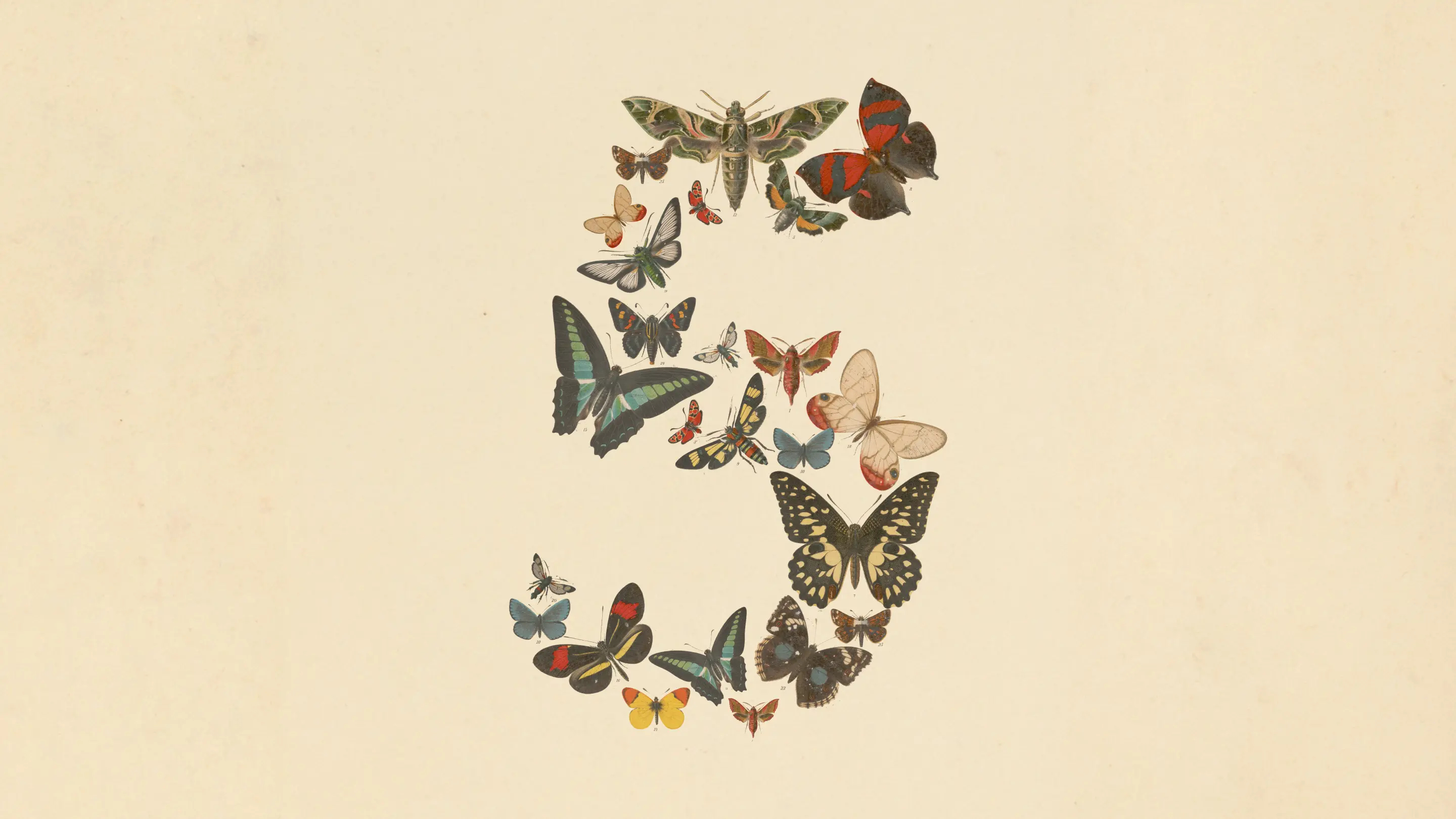 【Anthropic 推出 Claude Fable 5，其首款面向用户的 My