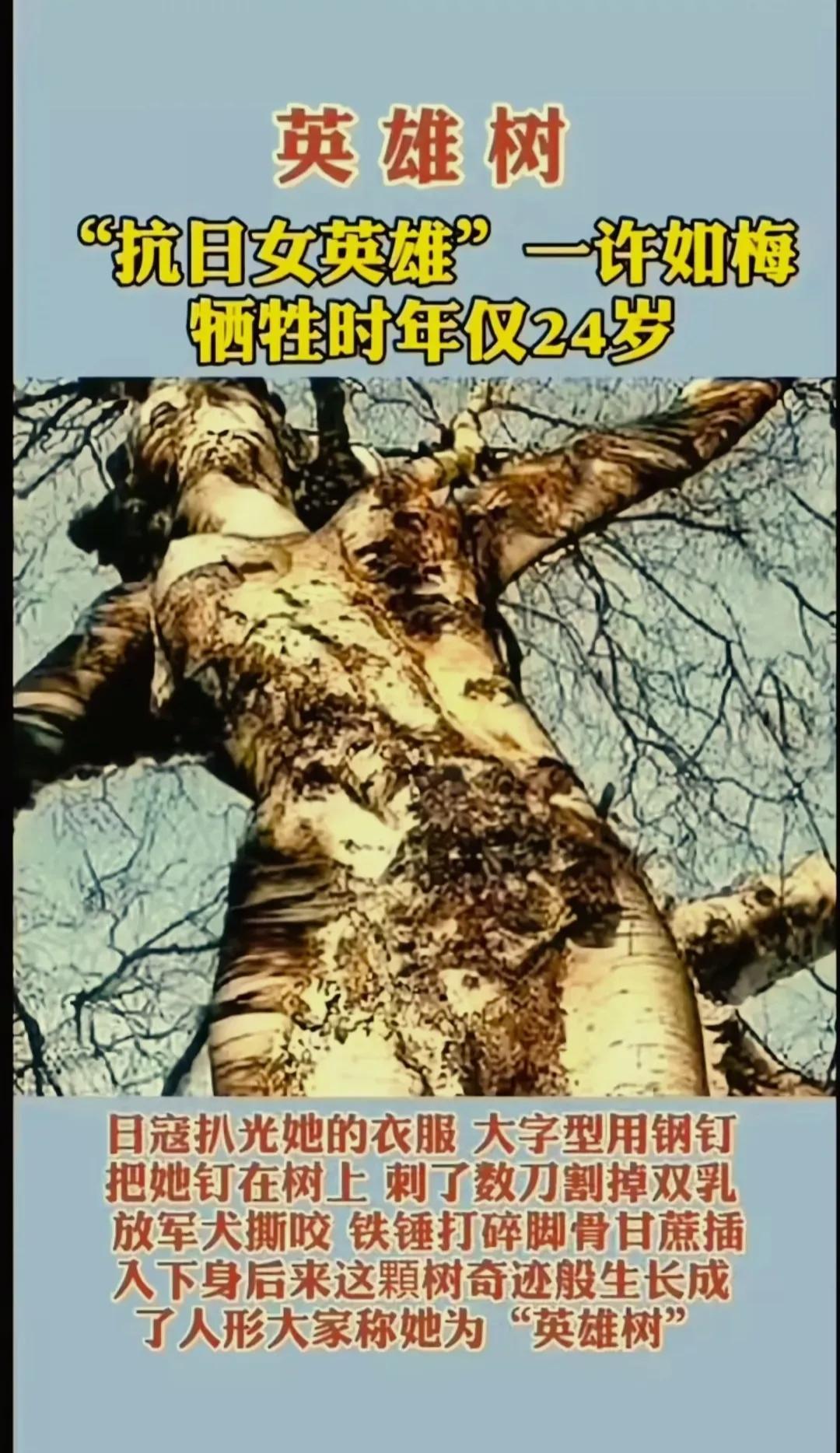 24岁的抗日女英雄许如梅面对敌人的严刑拷打毫不屈服。

敌人看到从她嘴里套不出有