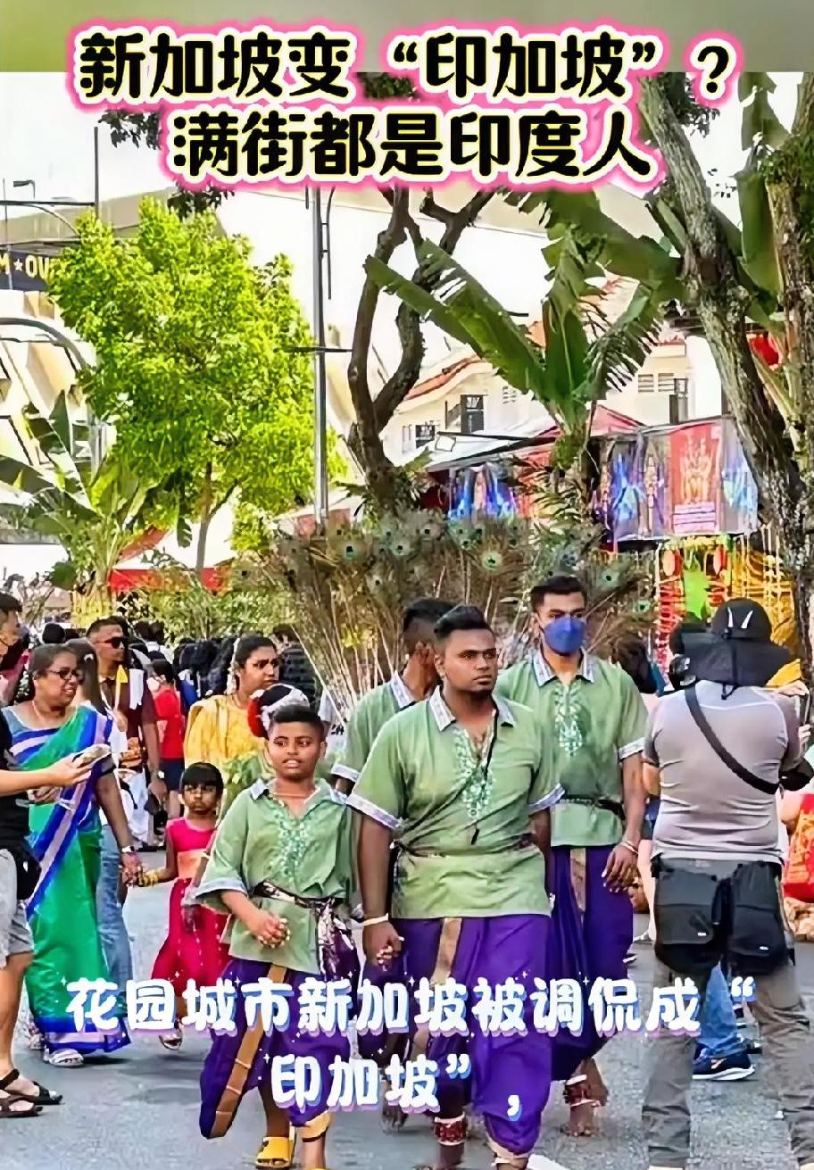 很多人只盯着新加坡越来越多印度居民，却忽略了：香港的人口与语言格局，也正在悄悄大