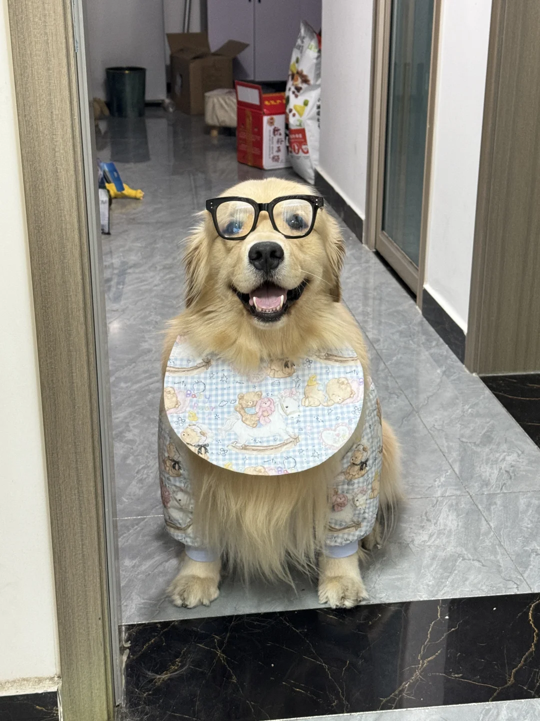 小狗 你是要去读书吗