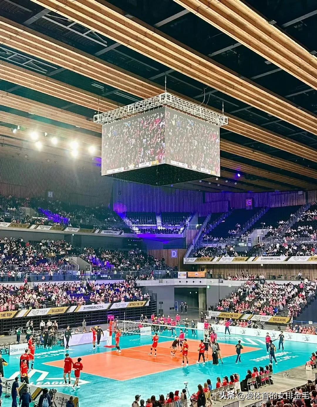 三得利太阳鸟大阪2-3东京棒棒熊的比赛在东京的有明竞技场进行，结果到场观众达到了