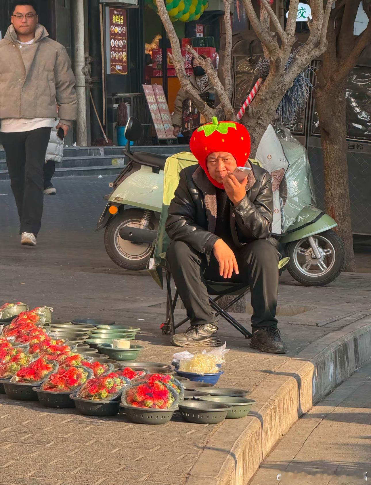 草莓族长正在售卖族人 