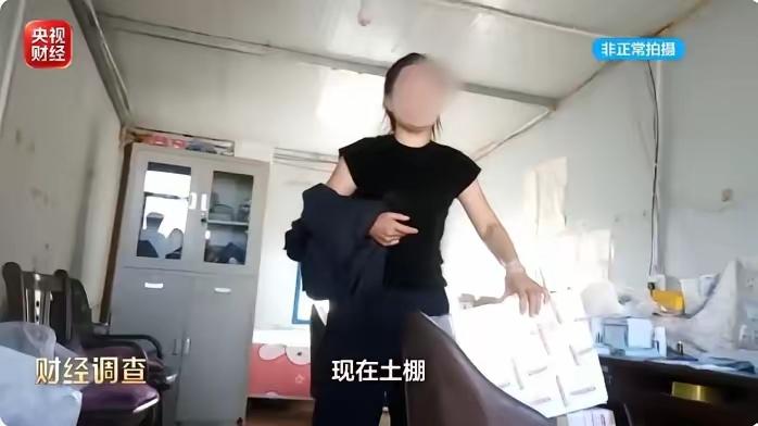 吉林松原乾安大棚撂荒事件（央视《财经调查》10月11日曝光）
 
项目概况
 