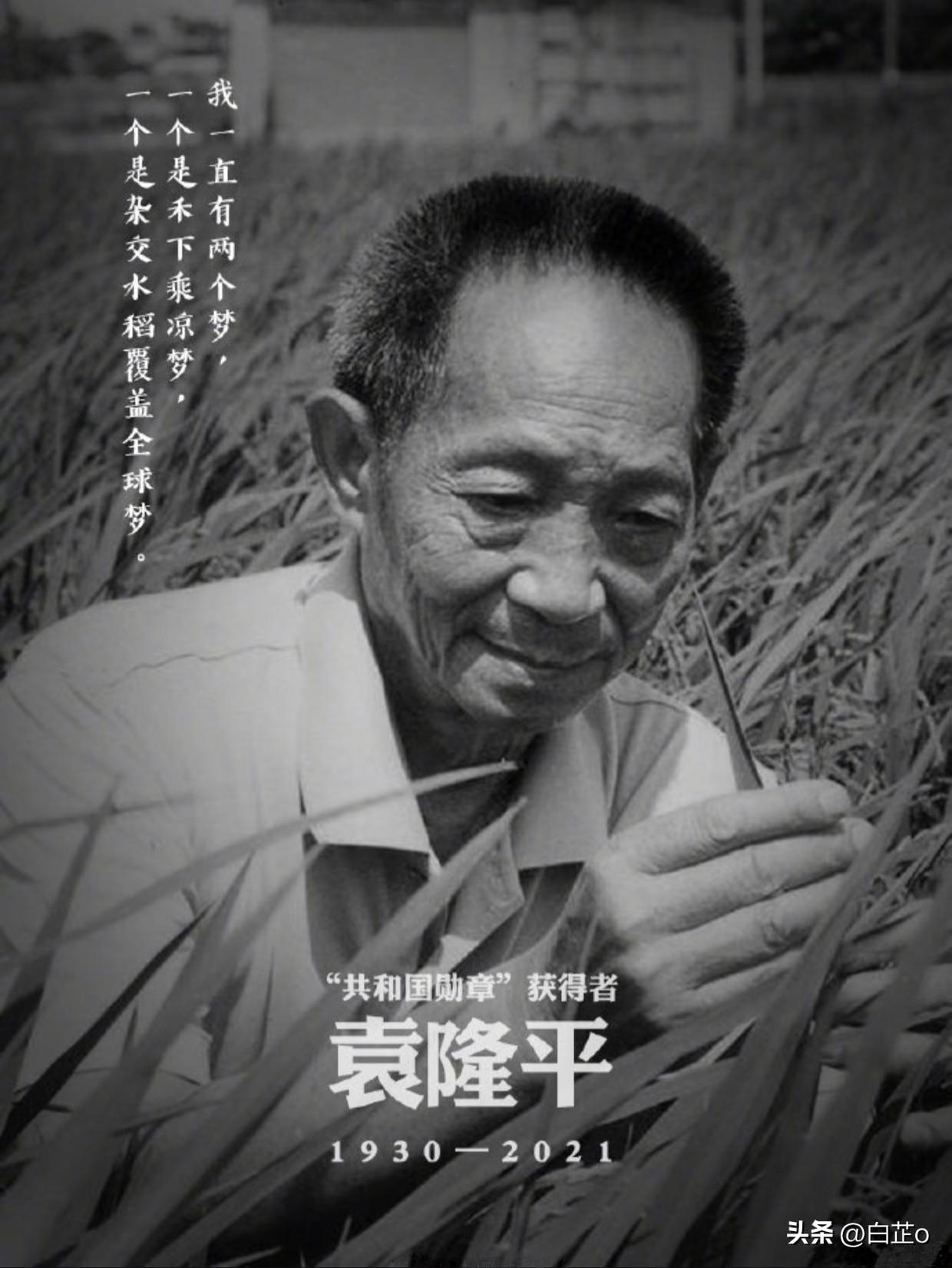 长沙街头这一幕，看得人鼻子一酸……

如果你这几天在长沙，一定要去解放西路看看。