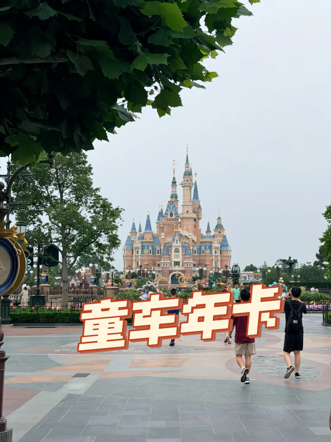 迪士尼不只有年卡用户，还有童车年卡用户？