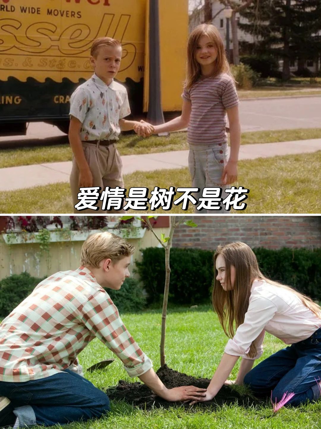 🔥据说比某楂树更纯的爱情♥️怦然心动