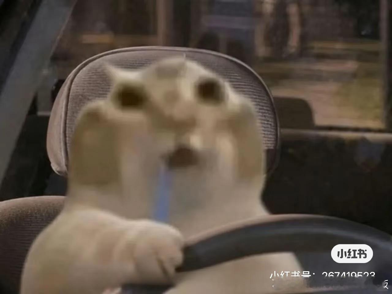 我发现两个人生规律：1. 不把遇到的糟糕的事情讲出来，就会让我的内心很平静，所以