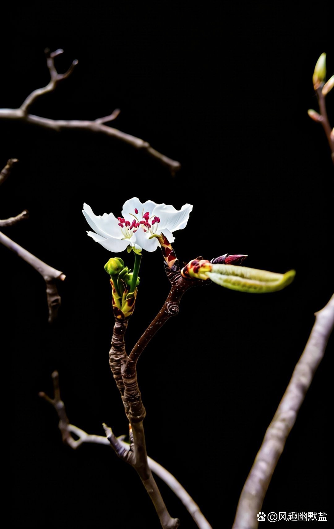 我今天教你们的是战略思维第一步：认知，你首先要有清晰的认知，然后才是选择目标，最