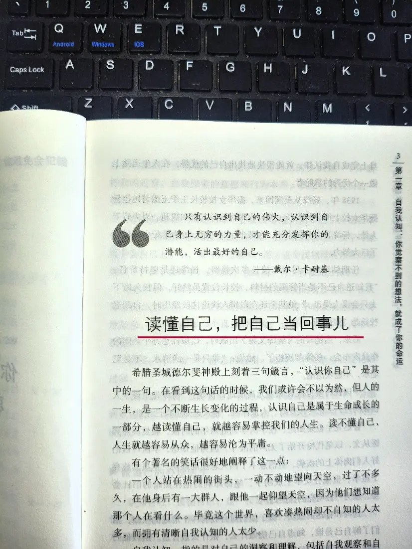 什么都不是你的，你不会失去任何东西，能够治愈自己的从来都是认真爱自己的...