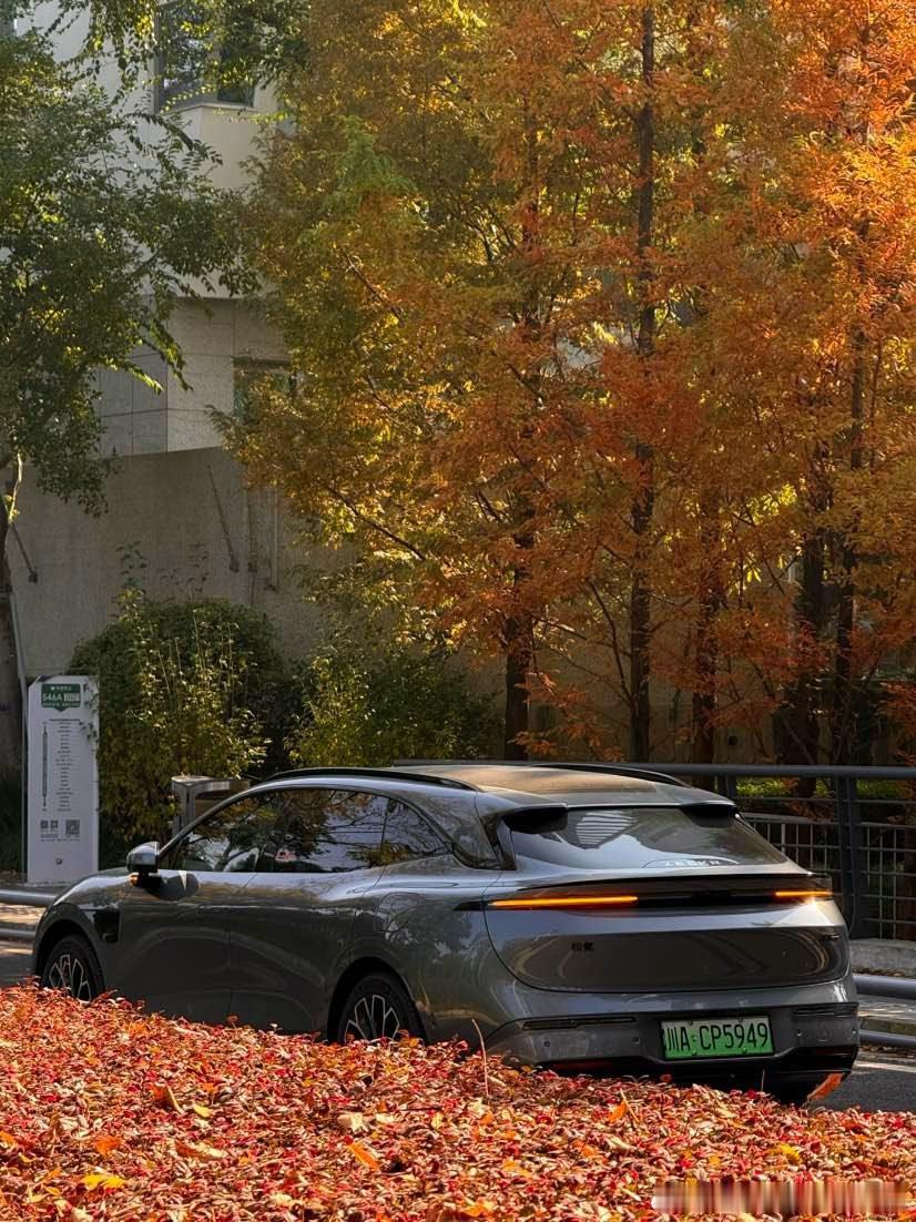 感恩节这天帮海外归国的老师运送教学资料去偏远小学，极氪的后备箱变成移动图书馆。孩