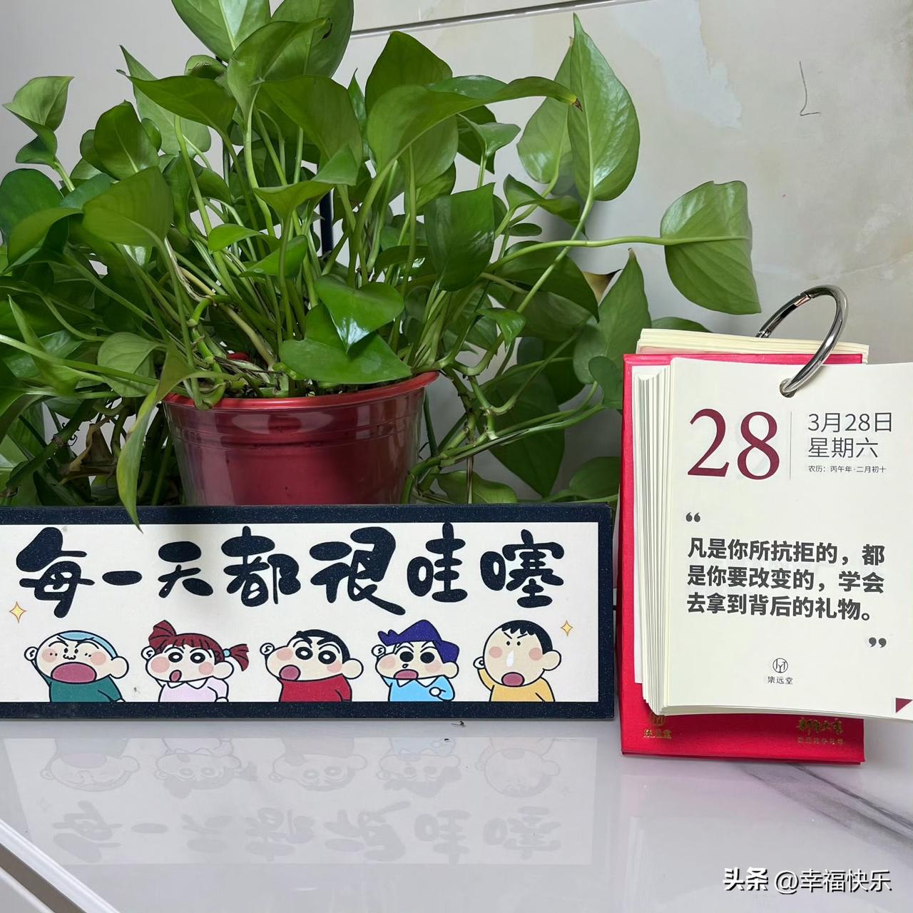 2026.03.28
周六，快乐