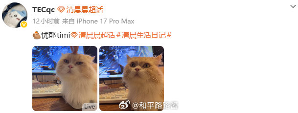 可爱Timi，让姨姨rua一下电竞点播台 2026pel春季赛