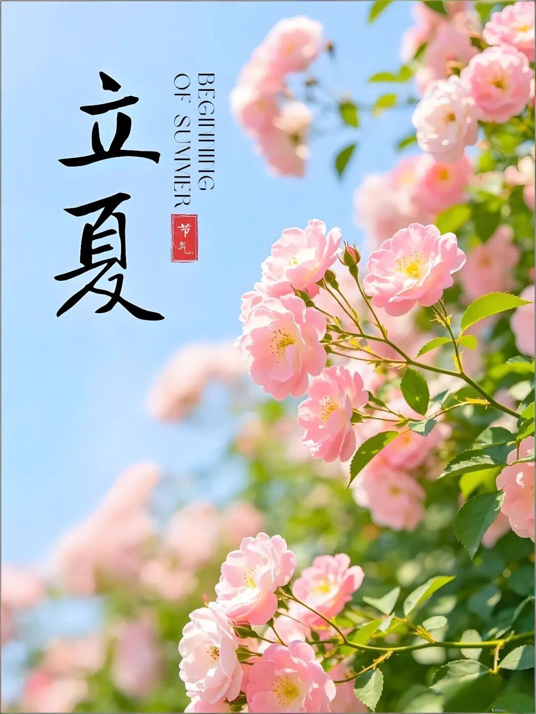 好运气从清晨开始，心若阳光，生活才能斑斓，人若简单，人生才能清澈，新的一天，愿你