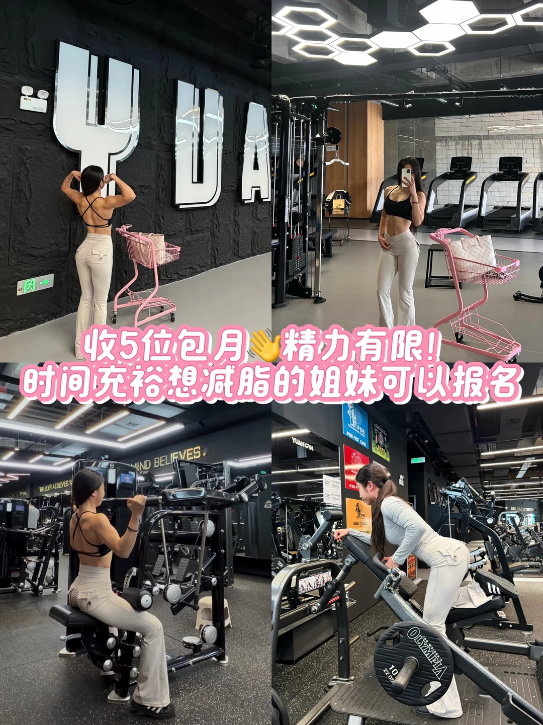 收5位包月💰的宝子