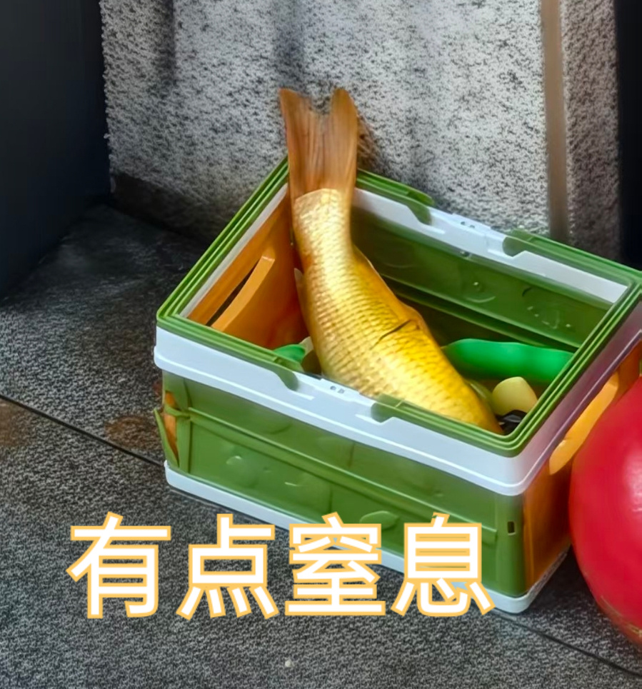 在上海拍摄借品牌方的车停车状态下被别人剐蹭了更难受的是对方跑了报了帽子叔叔 等待