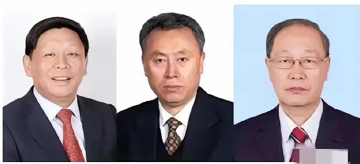 院士不是铁饭碗！吴曼青赵宪庚魏毅寅被撤，触碰国家底线一样处理
这两天中国工程院官