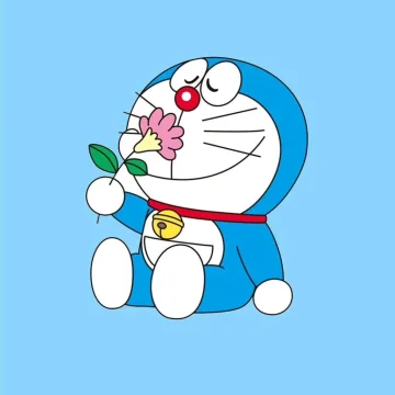 青柠檬的丸子