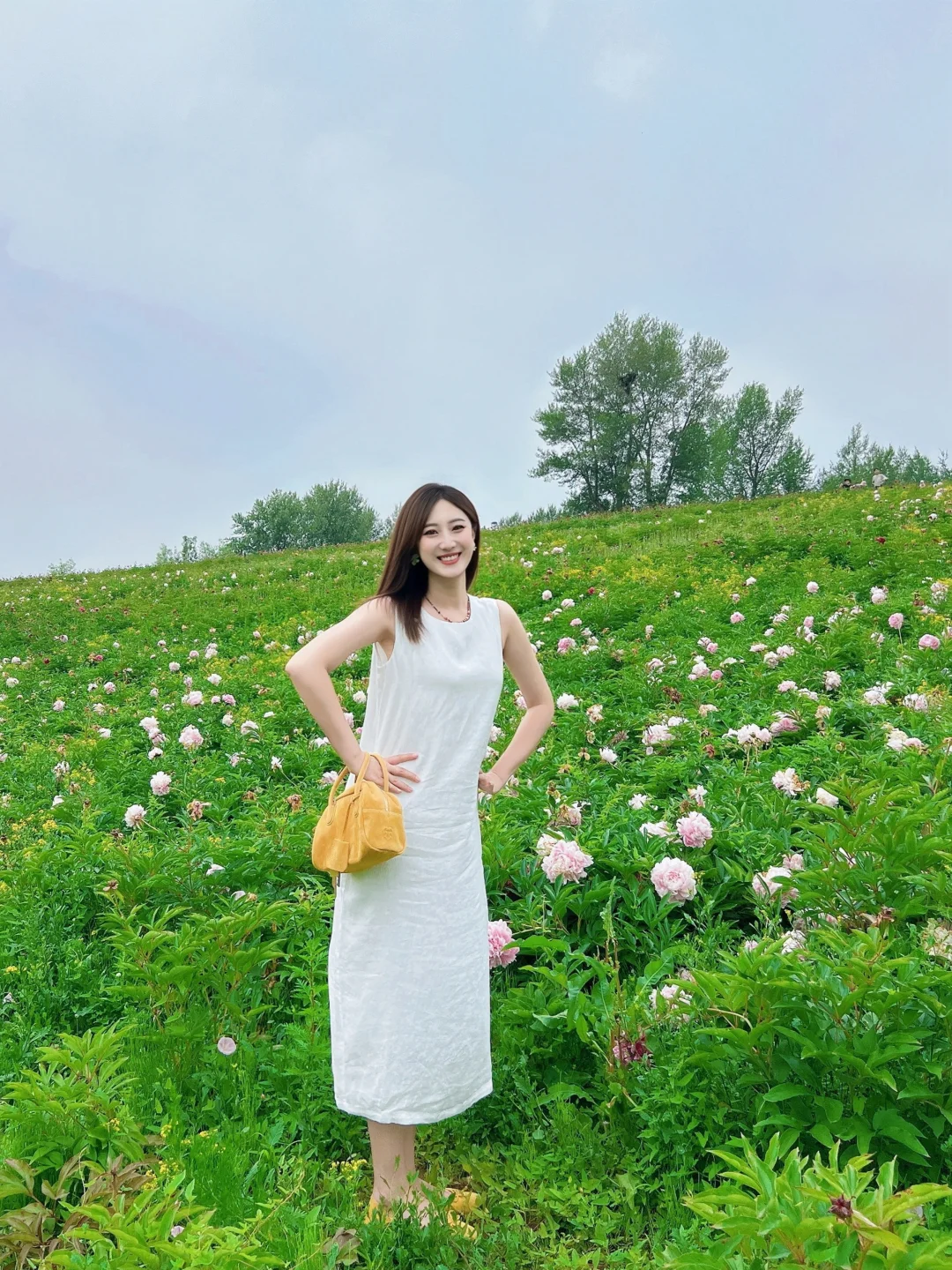 在长春📍| 雕塑公园偶遇一片花海🌸