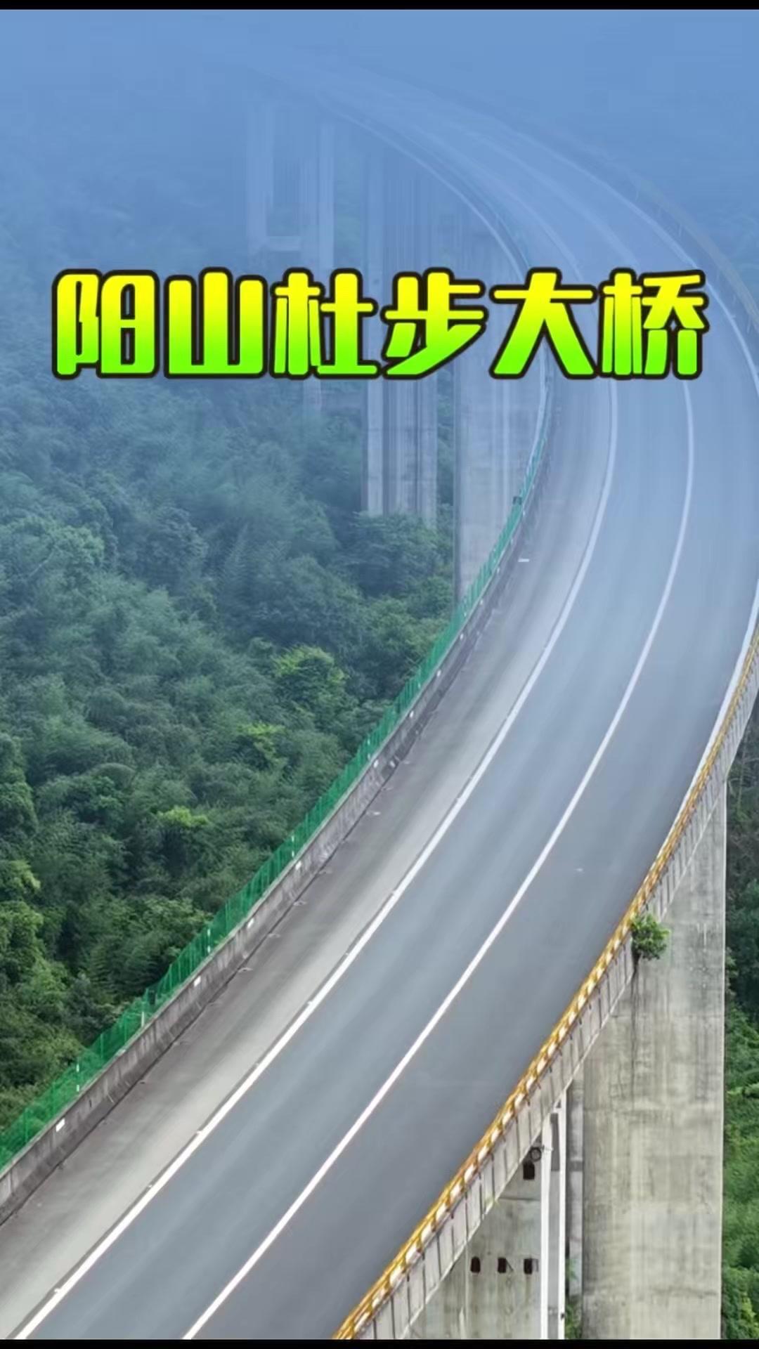 许广高速上的杜步高架桥你走过吗？🌿许广高速上的杜步高架桥2006年建成，建成时