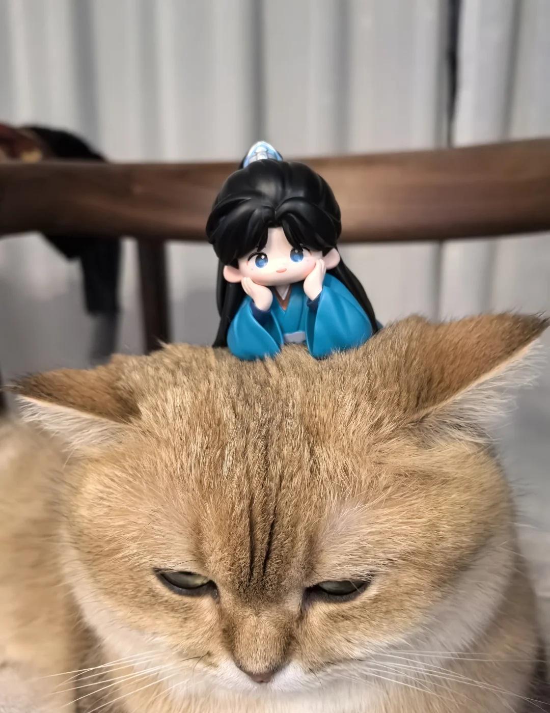 咪：你是真的够了
唐周捉猫妖来了
沉香如屑 成毅 电视剧 猫 宠物 饭制周边 手