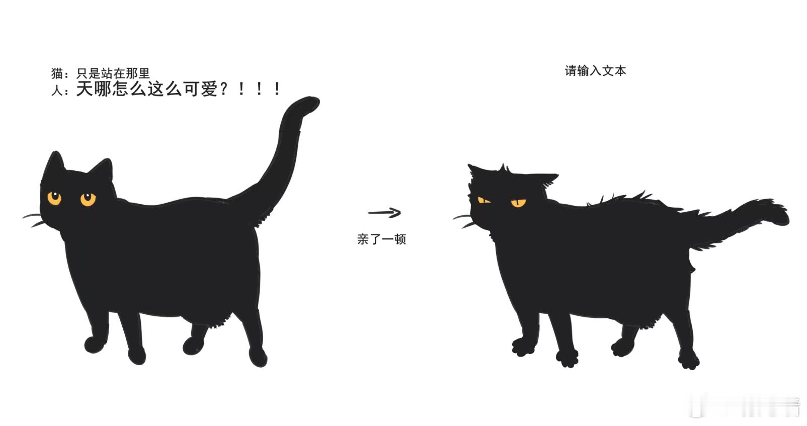 人每天增加猫的舔毛工作量 