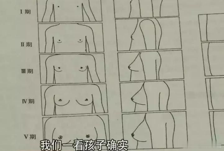 朋友家女儿今年上三年级，最近跟妈妈说她胸部那里有硬块，摸起来有点疼，她觉得孩子发