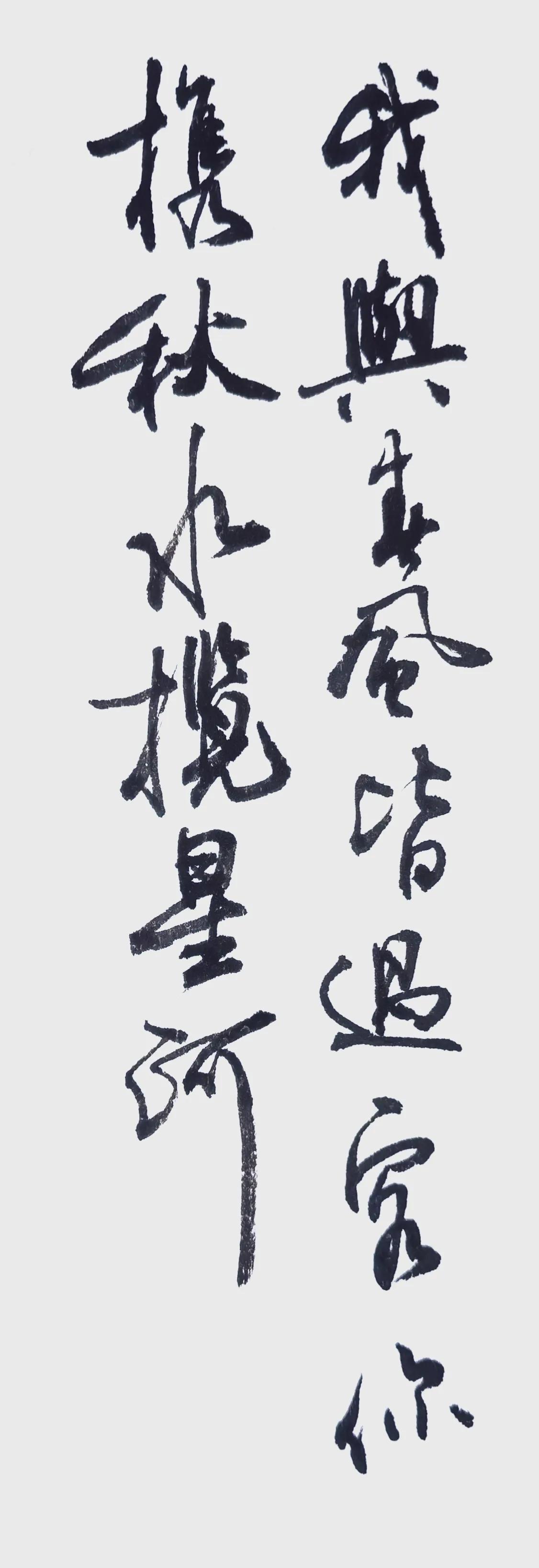 我与春风皆过客，携秋水揽星河。
简要点评
行草书写，笔法洒脱，线条粗细对比分明，