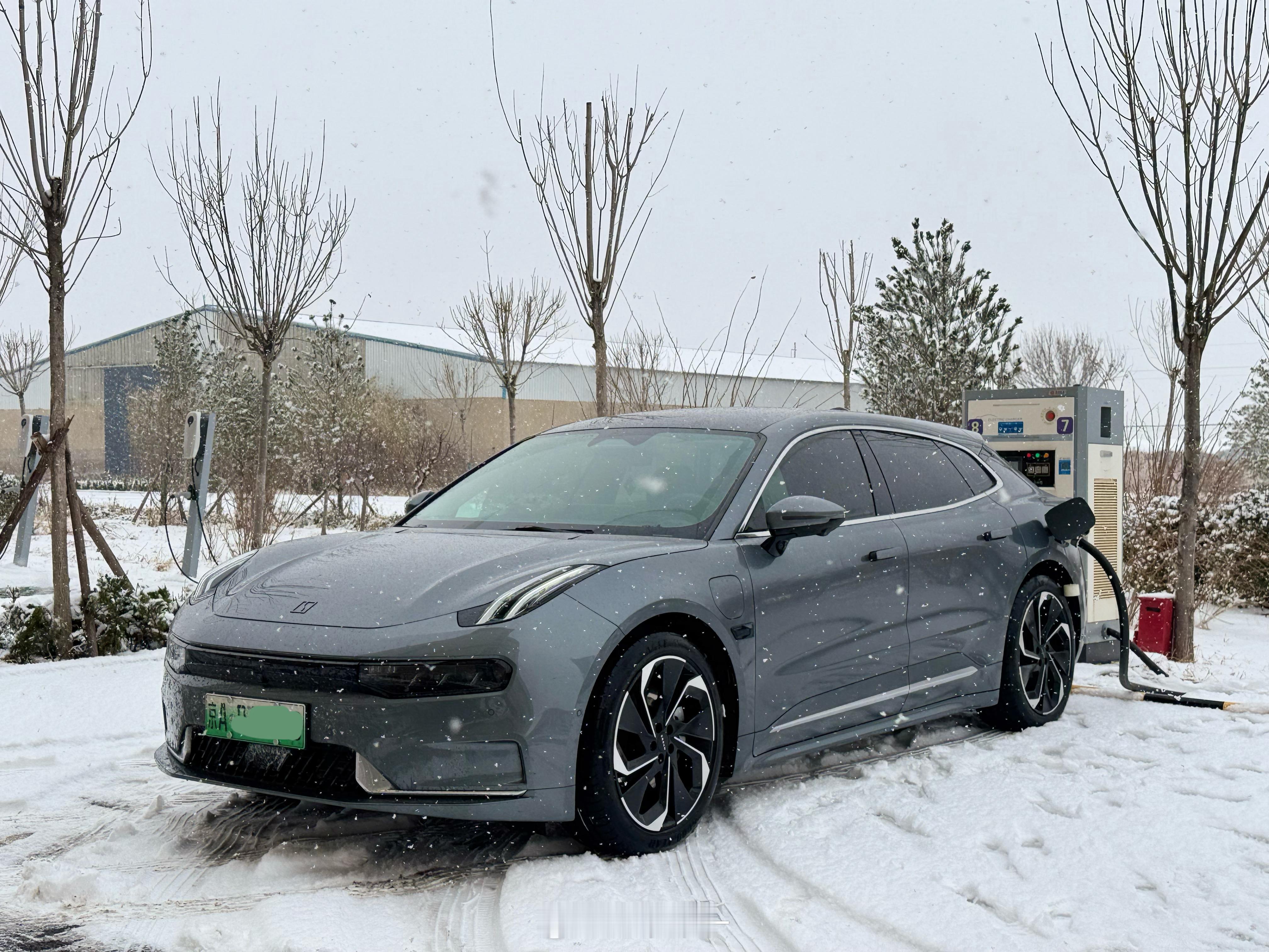 上联:善良可爱大青蛙 下联:冒雪带小猫回家！横批:一路平安 [爱慕] 