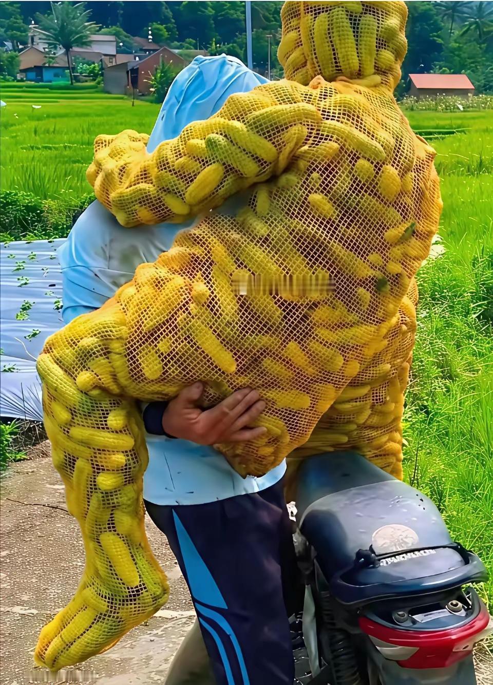 给我吓一跳！