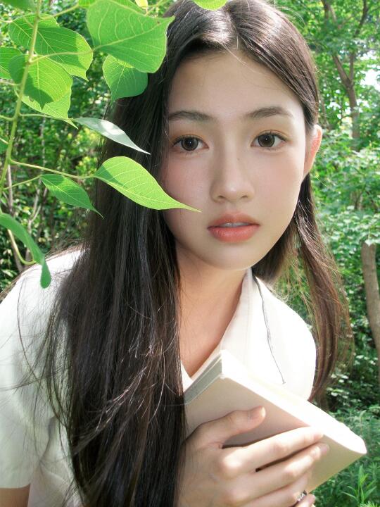 夏天的便笺是绿树🌲
