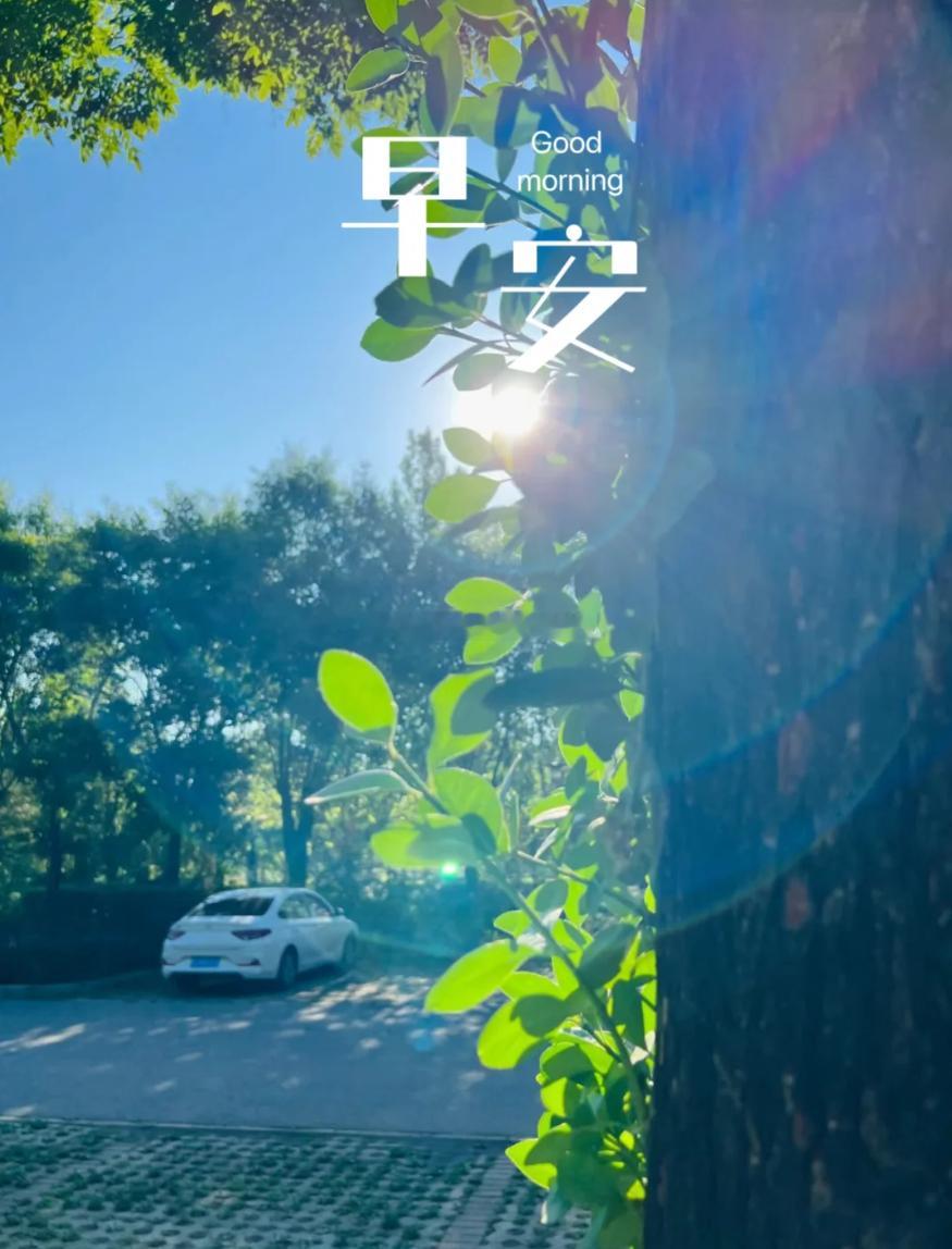 周二 新的一天如期而至，市场永远不缺机会，缺的是耐心与清晰的思路。震荡之时沉住气