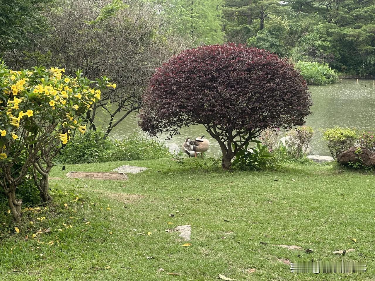 这话说得特别扎心，但仔细想想，还就是这么个理儿。

你就看看身边那些事吧。工作上