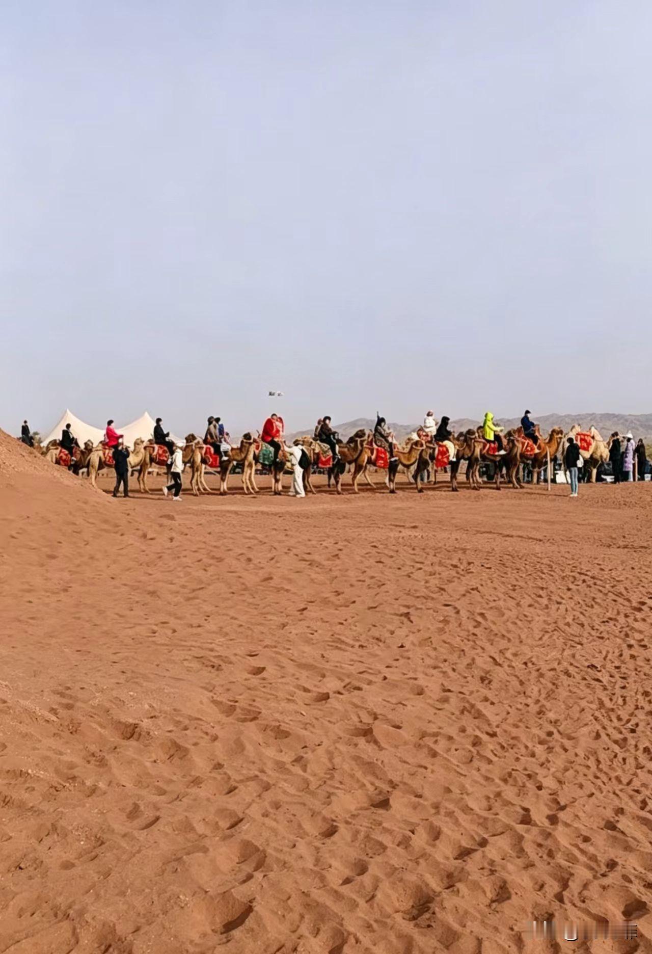 春日生活打卡季