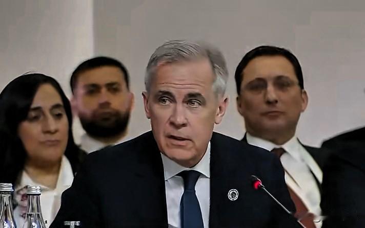 加拿大总理卡尼在埃里温欧共体峰会上讲话:“加拿大是最具欧洲特色的非欧洲国家，我们