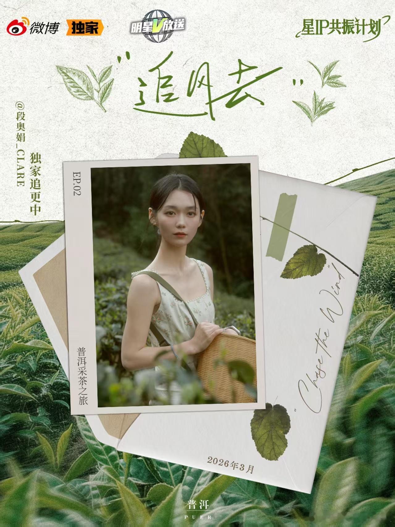 的追风明信片送达，跟着她的脚步感受版纳市井烟火、普洱万亩茶田，自在松弛～追风去 