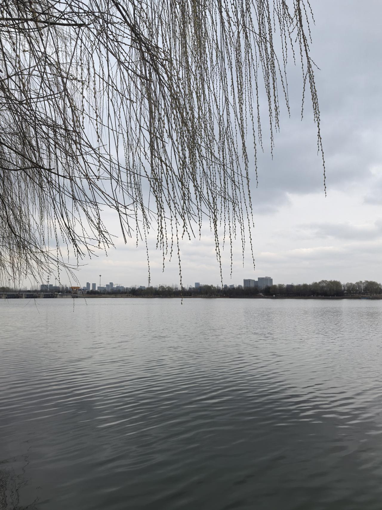 今天参加完省考的考生们，普遍反映今年的申论、行测难度都很大，尤其是行测……