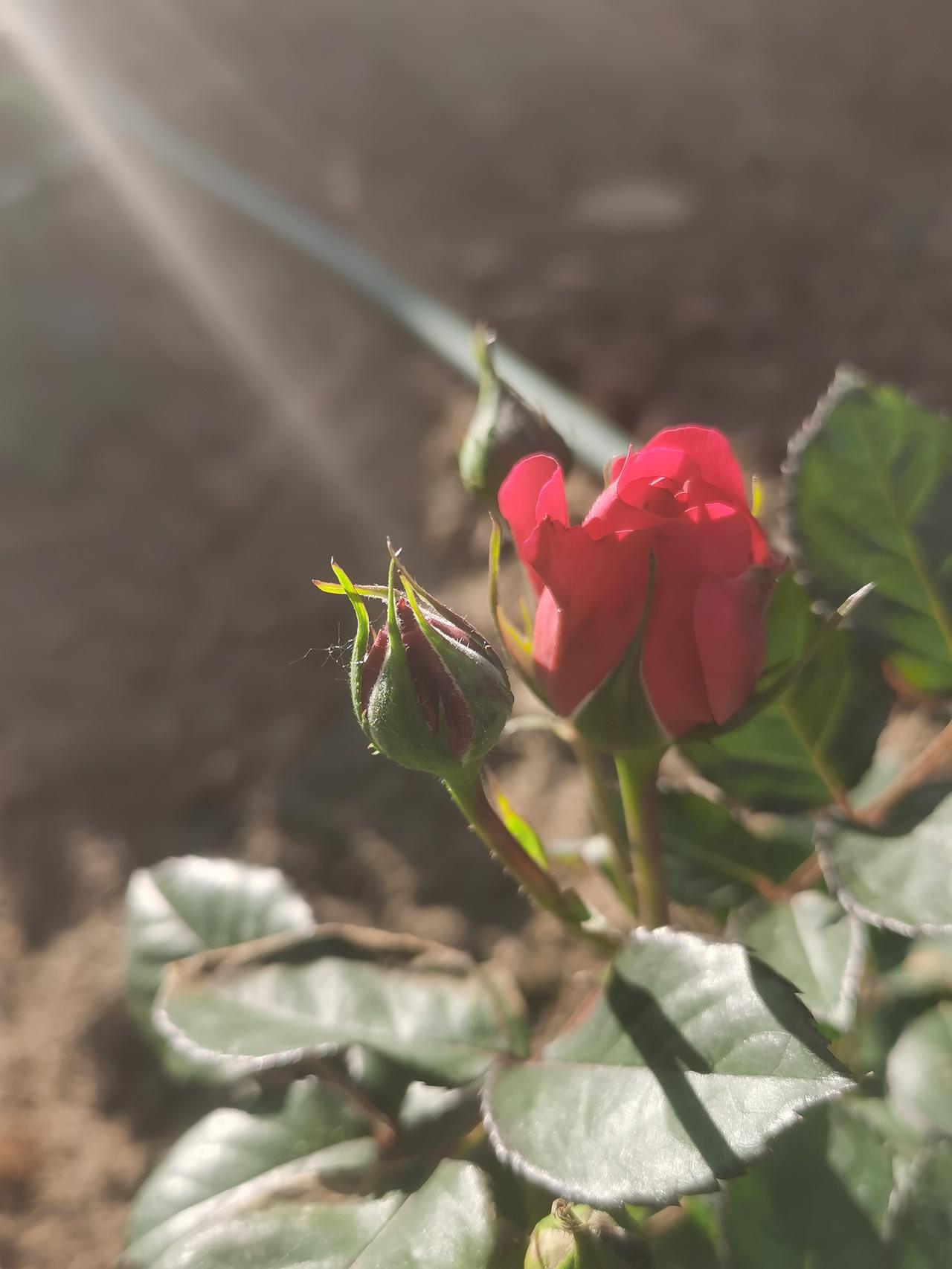 这前半生，我其实大多数时间是一个人过日子。

    孤独是什么呢？

   孤