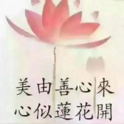 真诚相待，以心换心，美由善心来，心似莲花开。
