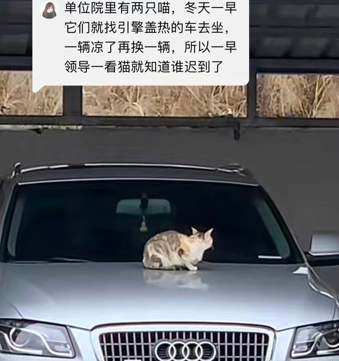 迟到克星[允悲] ​​​