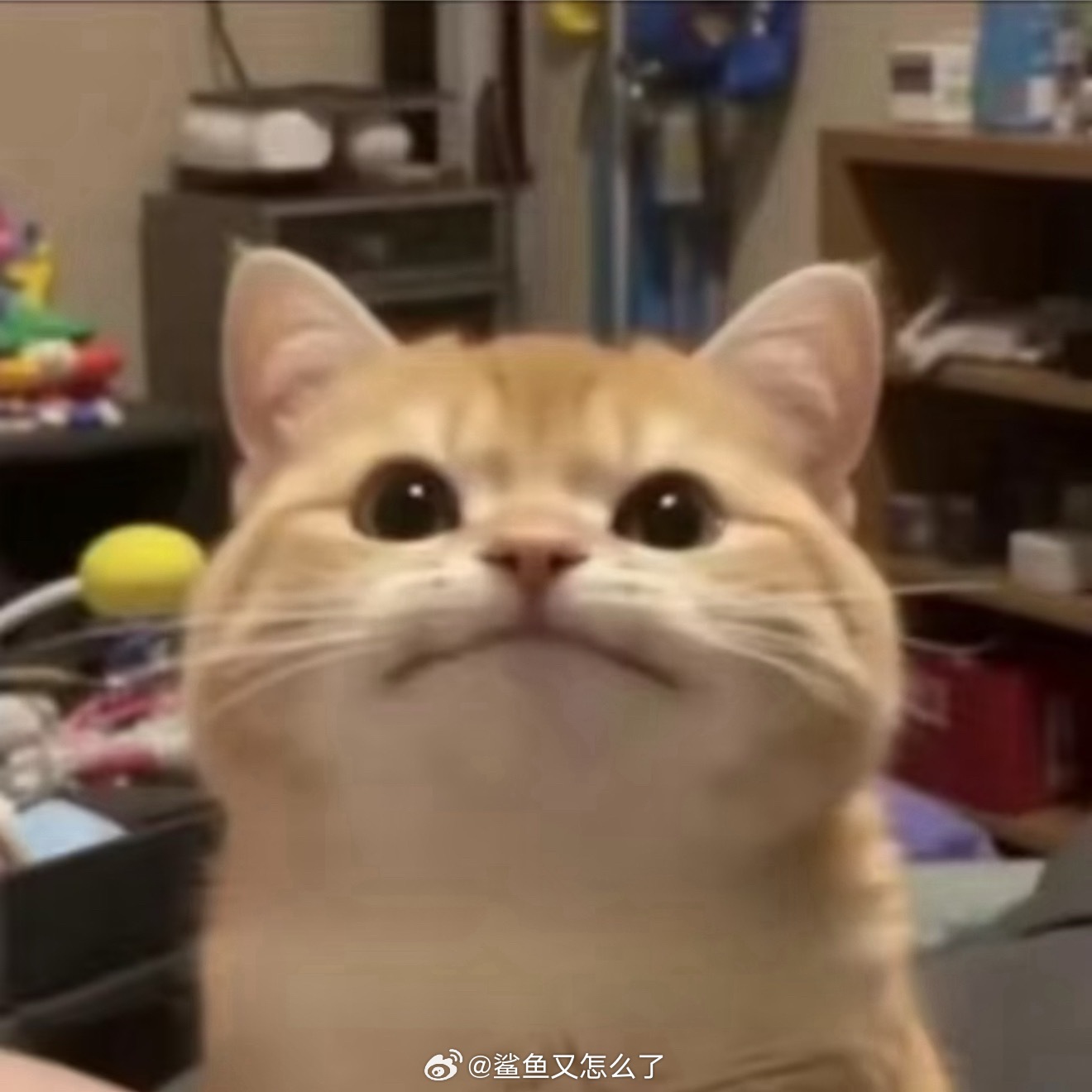 help咪 