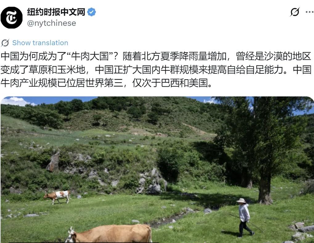 7月30日，《纽约时报》中文网在一篇报道中提到，中国正被推向“牛肉大国”。

文