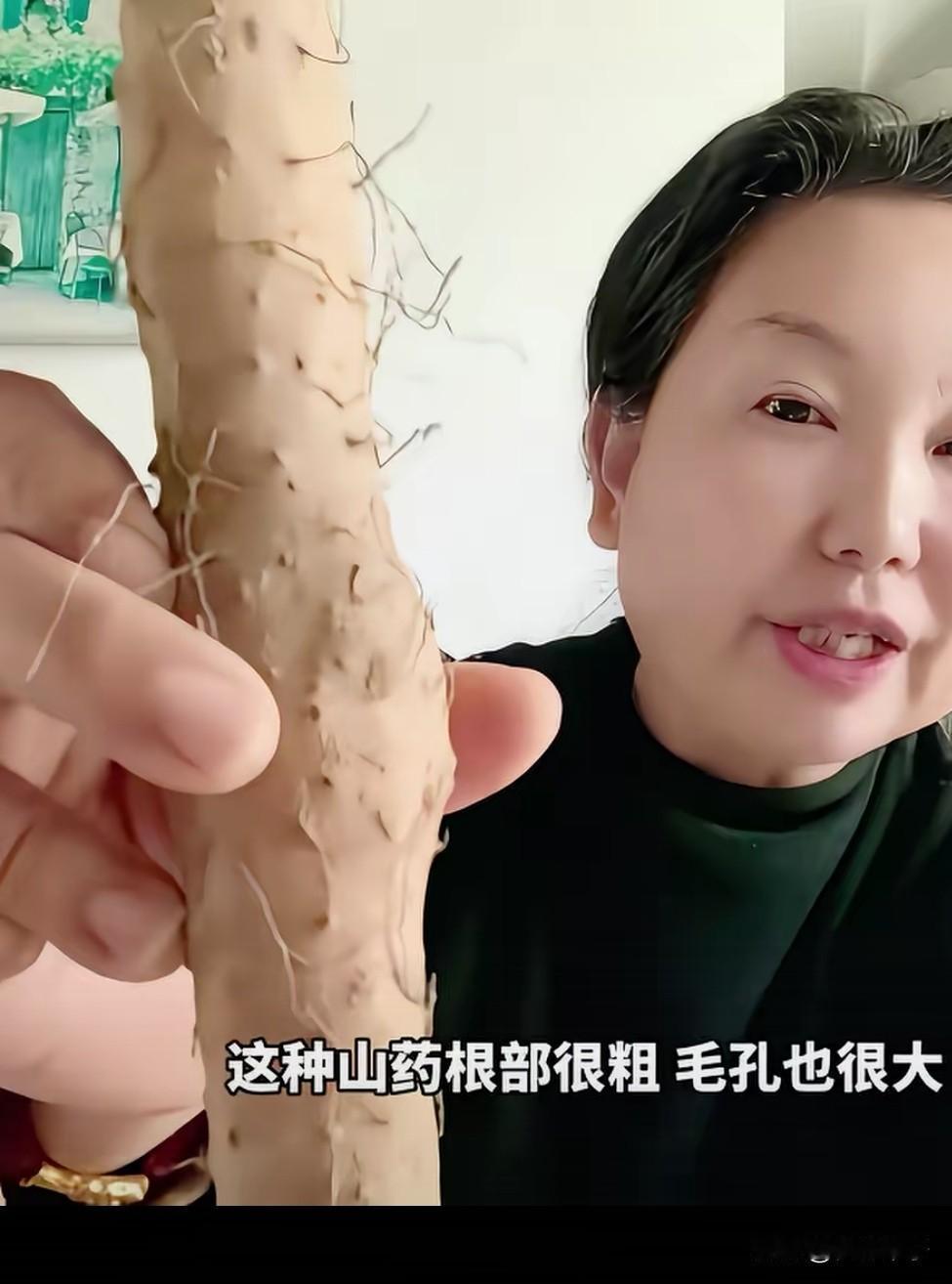 大娘又爆金句太逗了！
卖根山药联想丰富，
让人忍俊不禁！

大娘在直播间推销她手