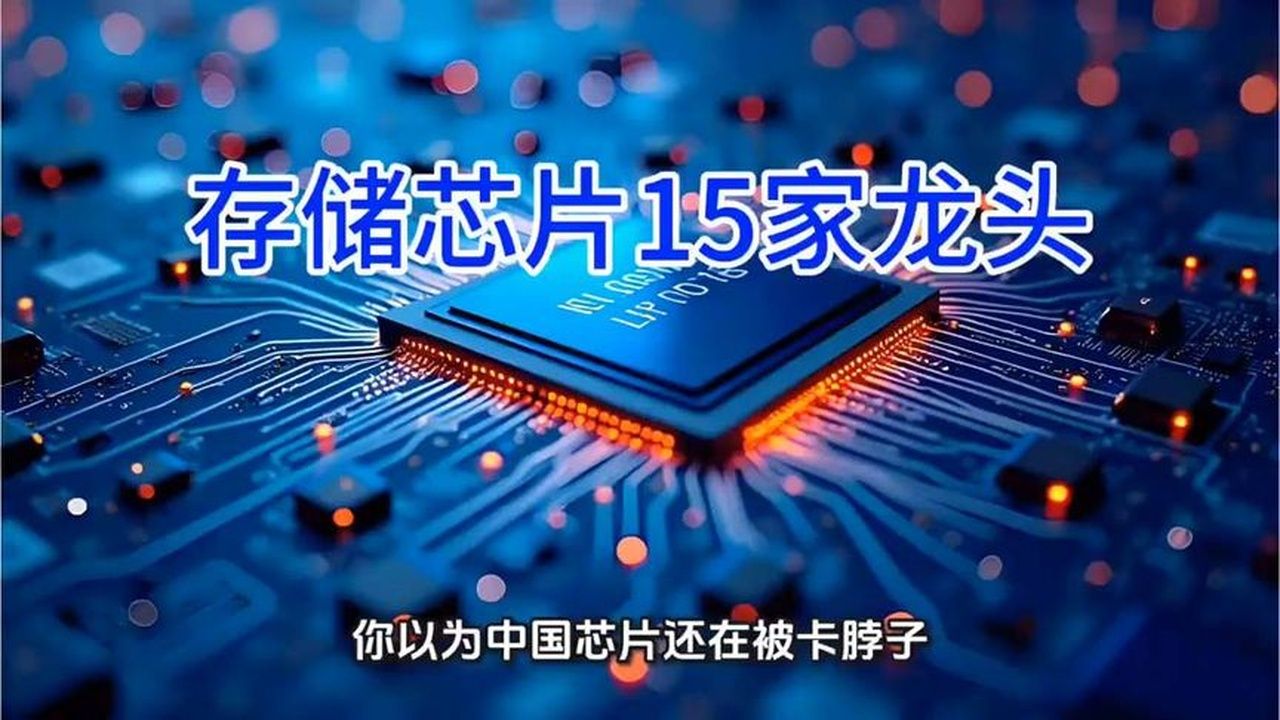 存储芯片存储芯片国产替代大爆发！这15家公司，每一家都是美