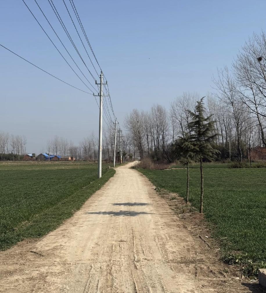 为什么每年大年初一下午，心里总会涌上莫名的失落感？原来过年真正的美好，都藏在奔赴