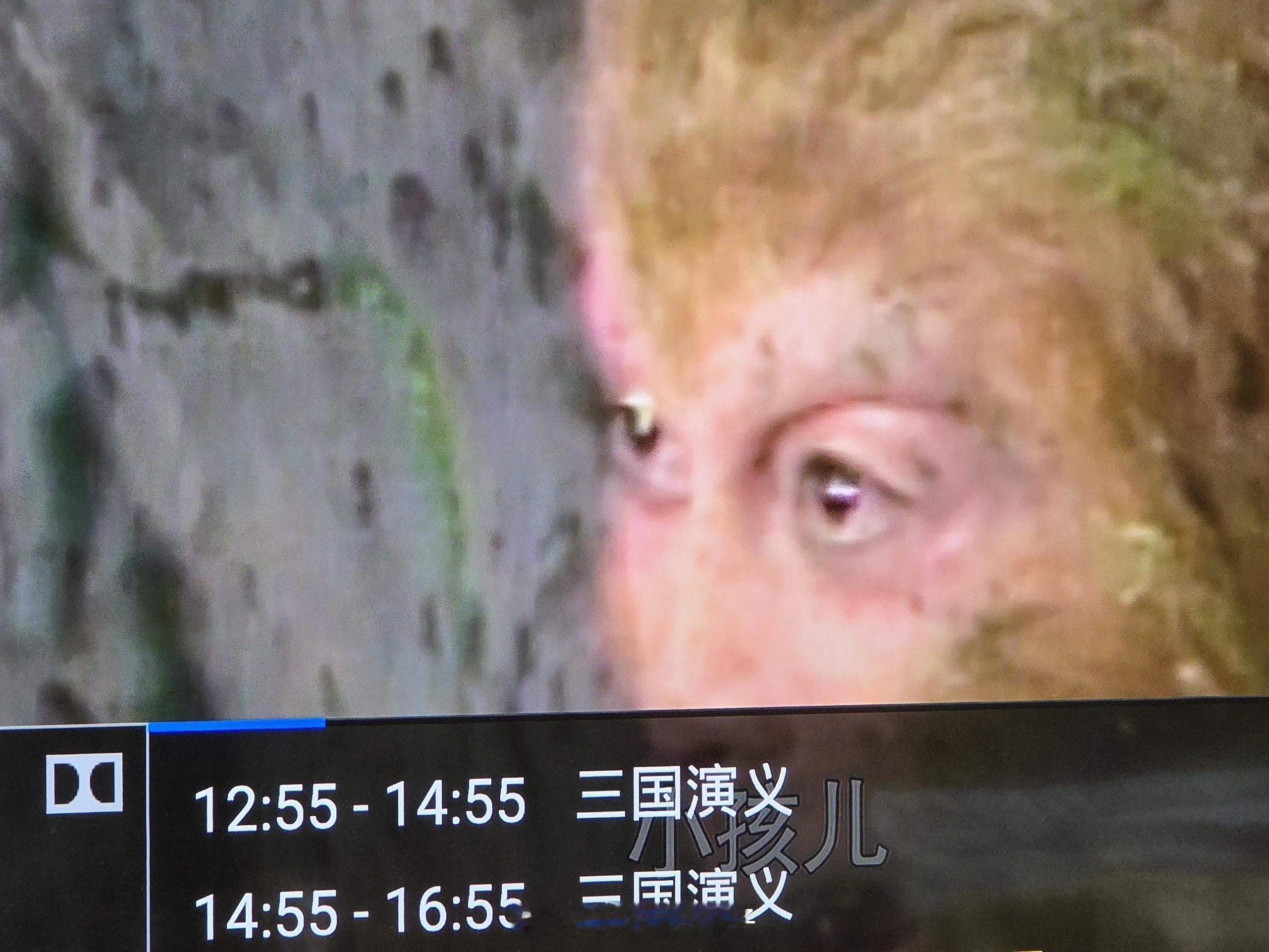 你管这叫三国演义