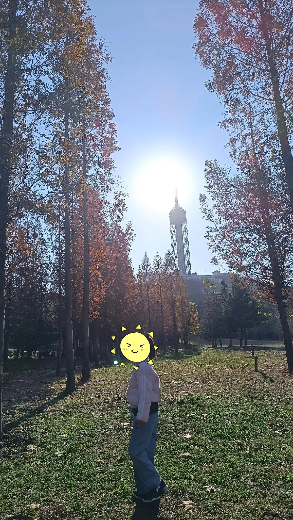 11月23日 周六🧮总结：晨读23分钟；课外阅读30分钟；学校作业33分钟；家