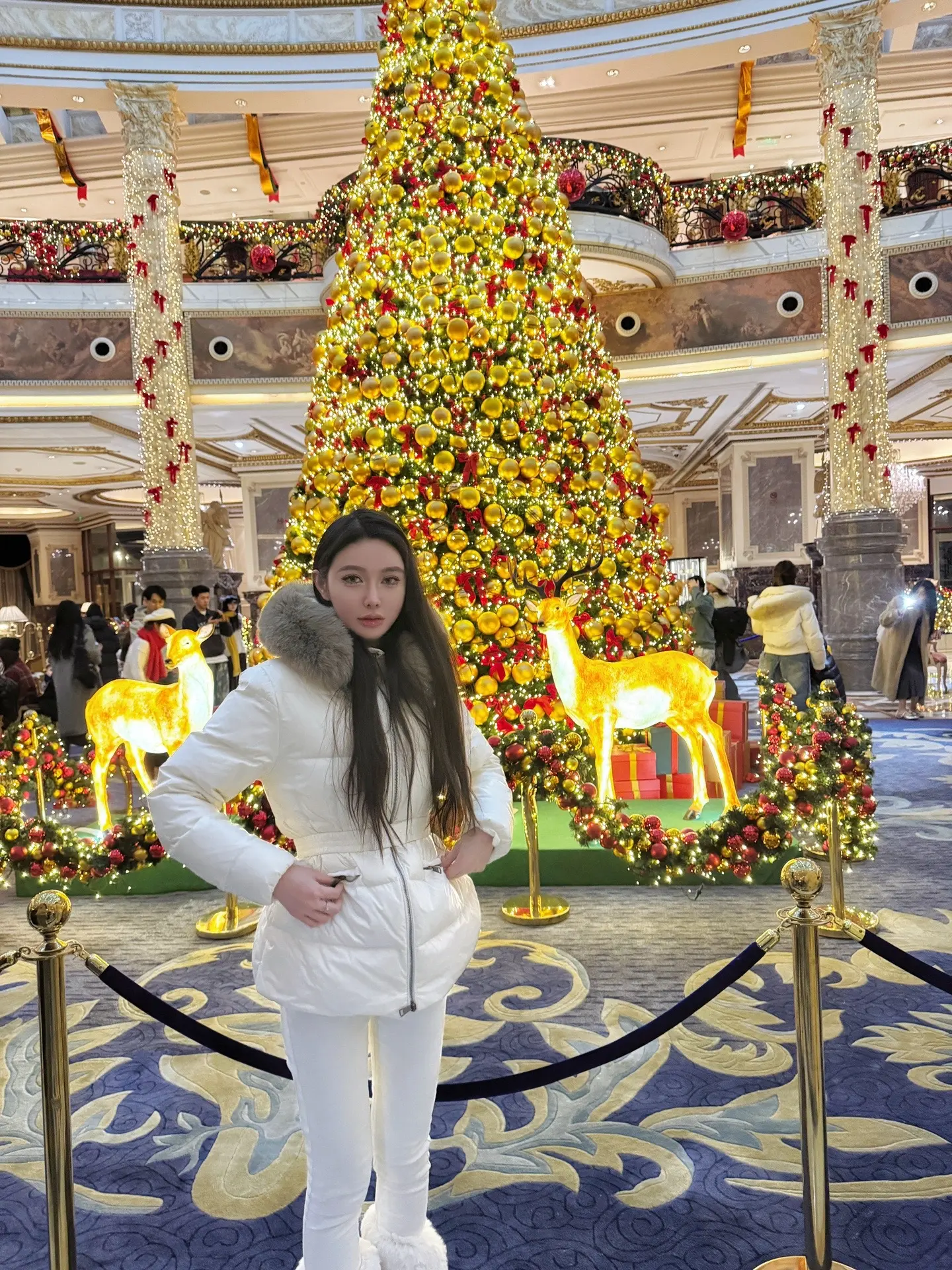 圣诞快乐🧑‍🎄